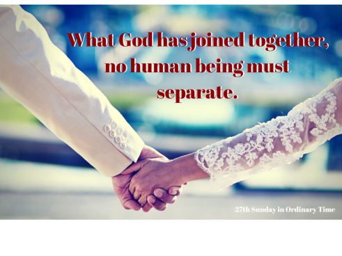 Therefore what God has joined together, no human being must separate.